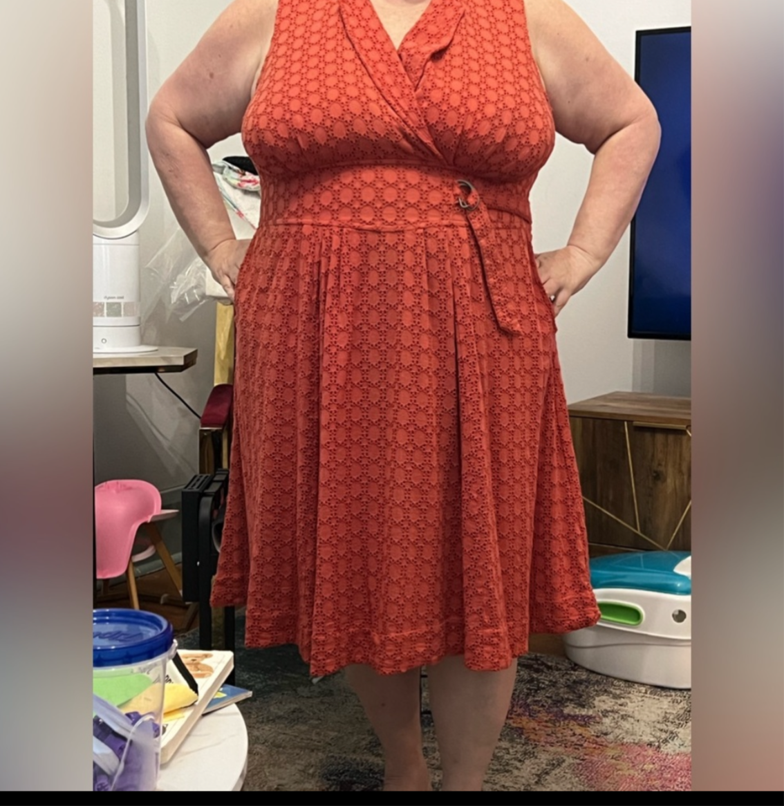 Anthropologie Elm Burnt Orange Eyelet Fit & Flare Sleeveless Dress