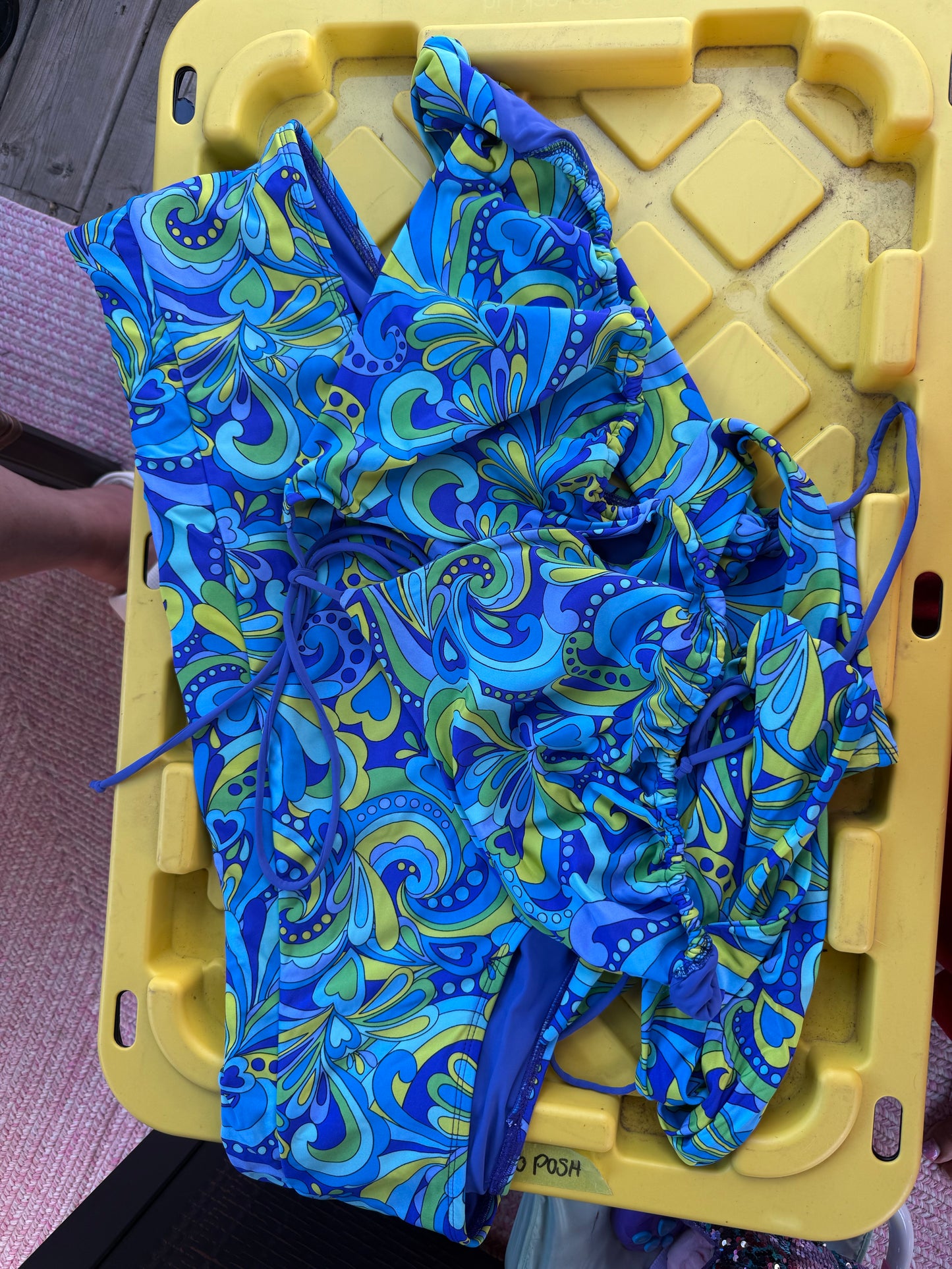 Alpine Butterfly Blue Bikini