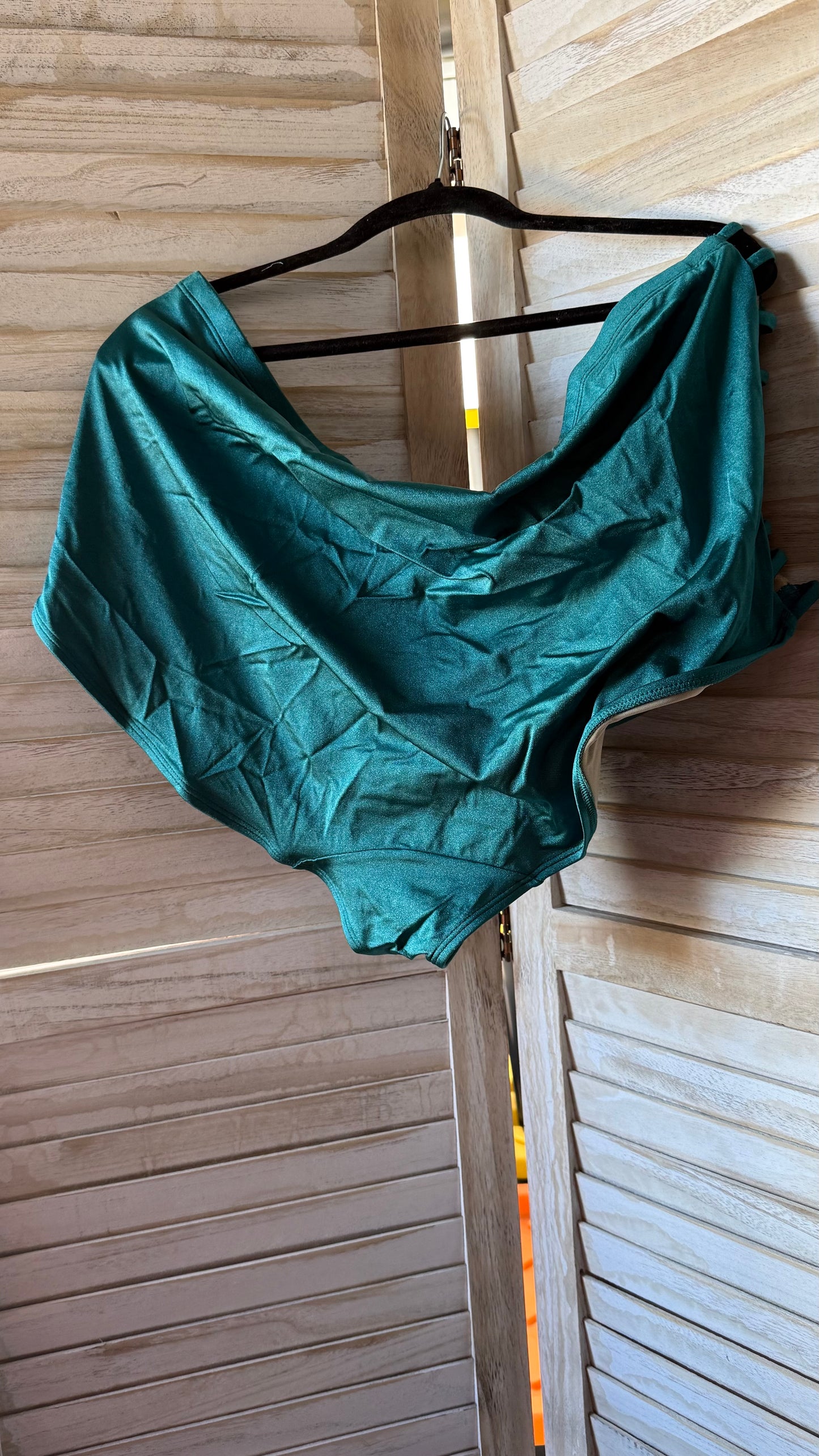 Lane Bryant Teal Bikini