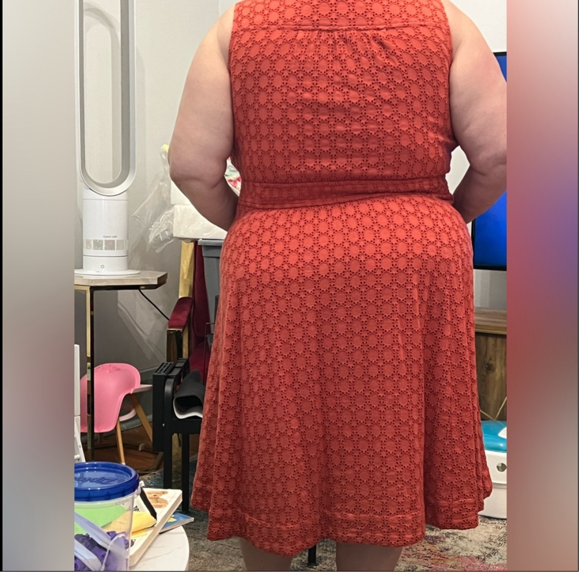 Anthropologie Elm Burnt Orange Eyelet Fit & Flare Sleeveless Dress
