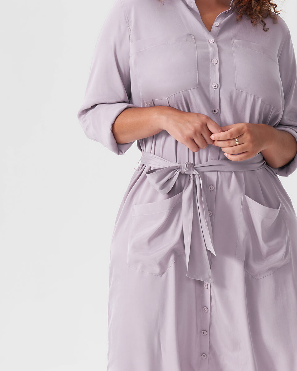 Universal Standard Shirt Dress