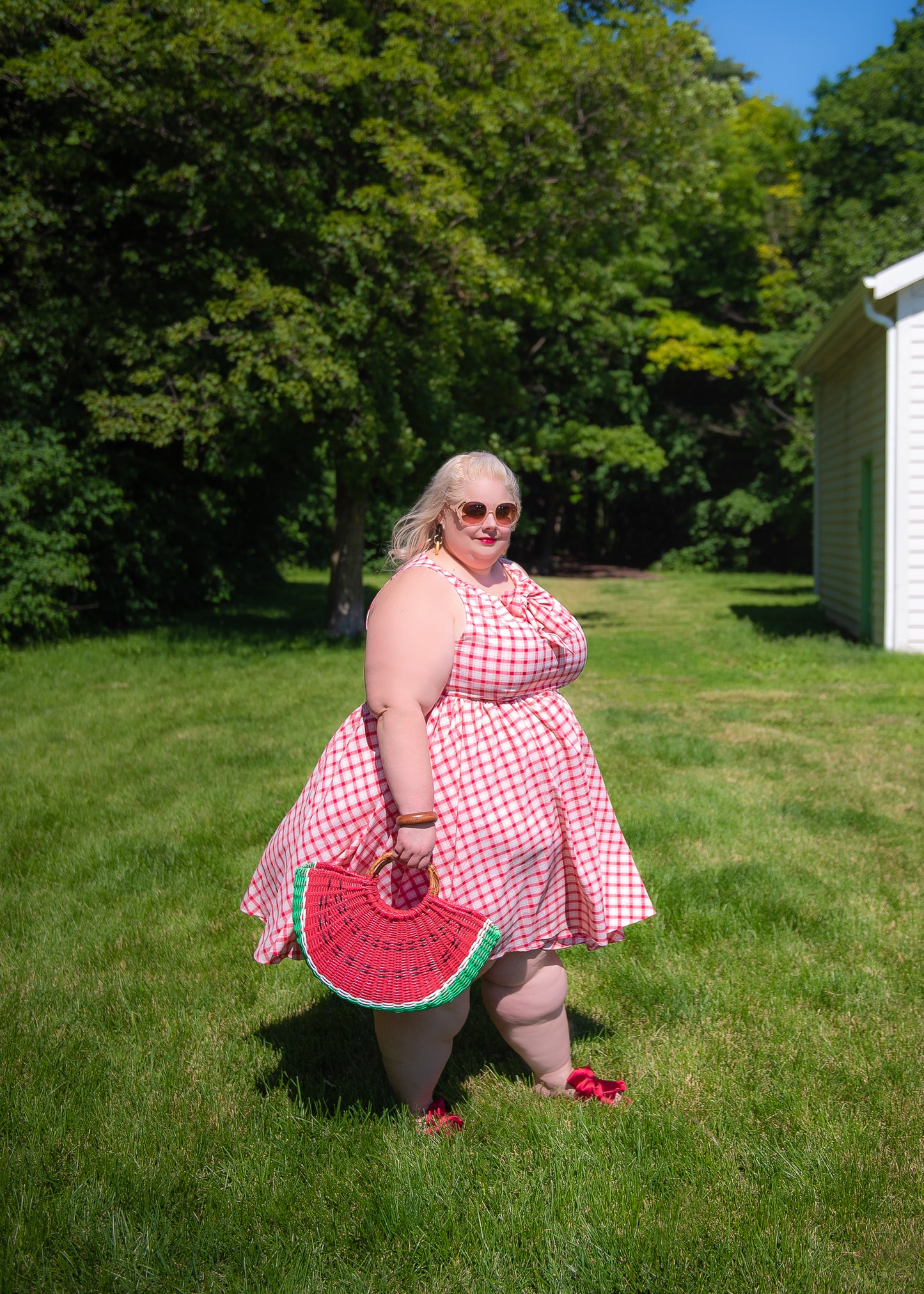 Unique Vintage Picnic Dress