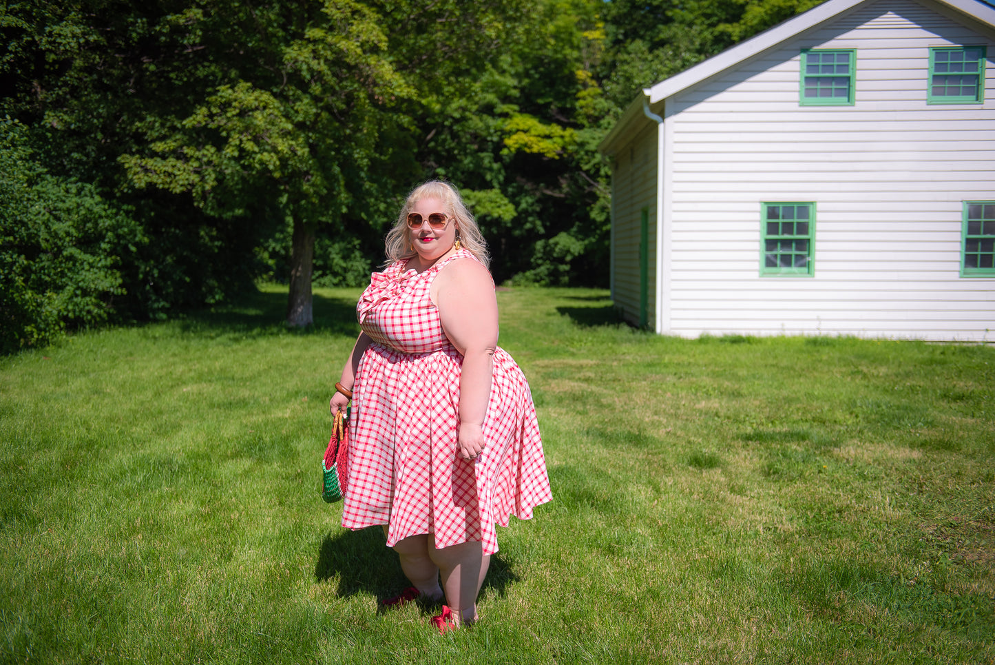 Unique Vintage Picnic Dress