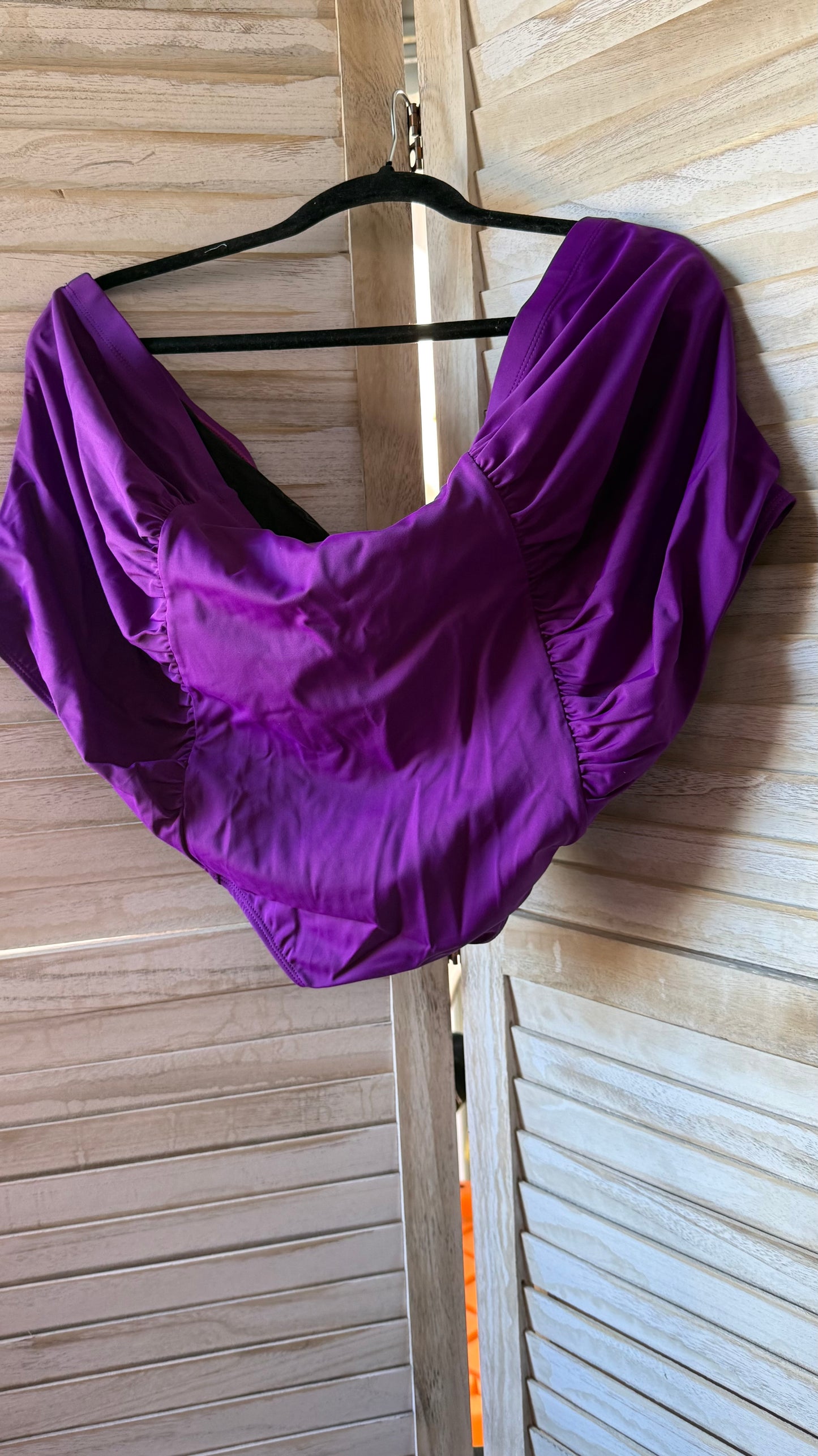 Torrid Purple Bikini