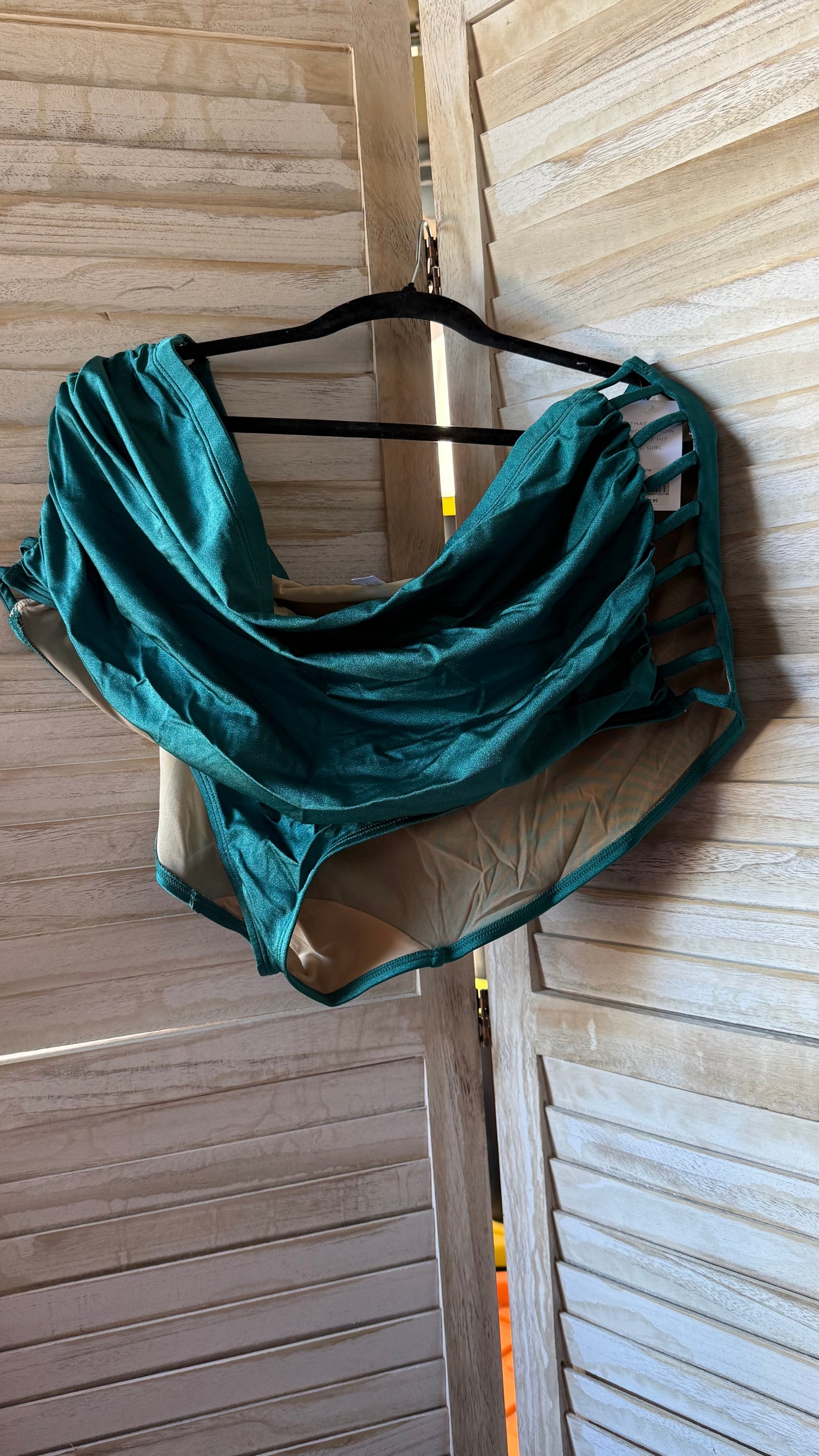 Lane Bryant Teal Bikini