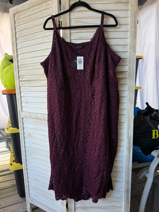 Torrid Plum Lace Dress