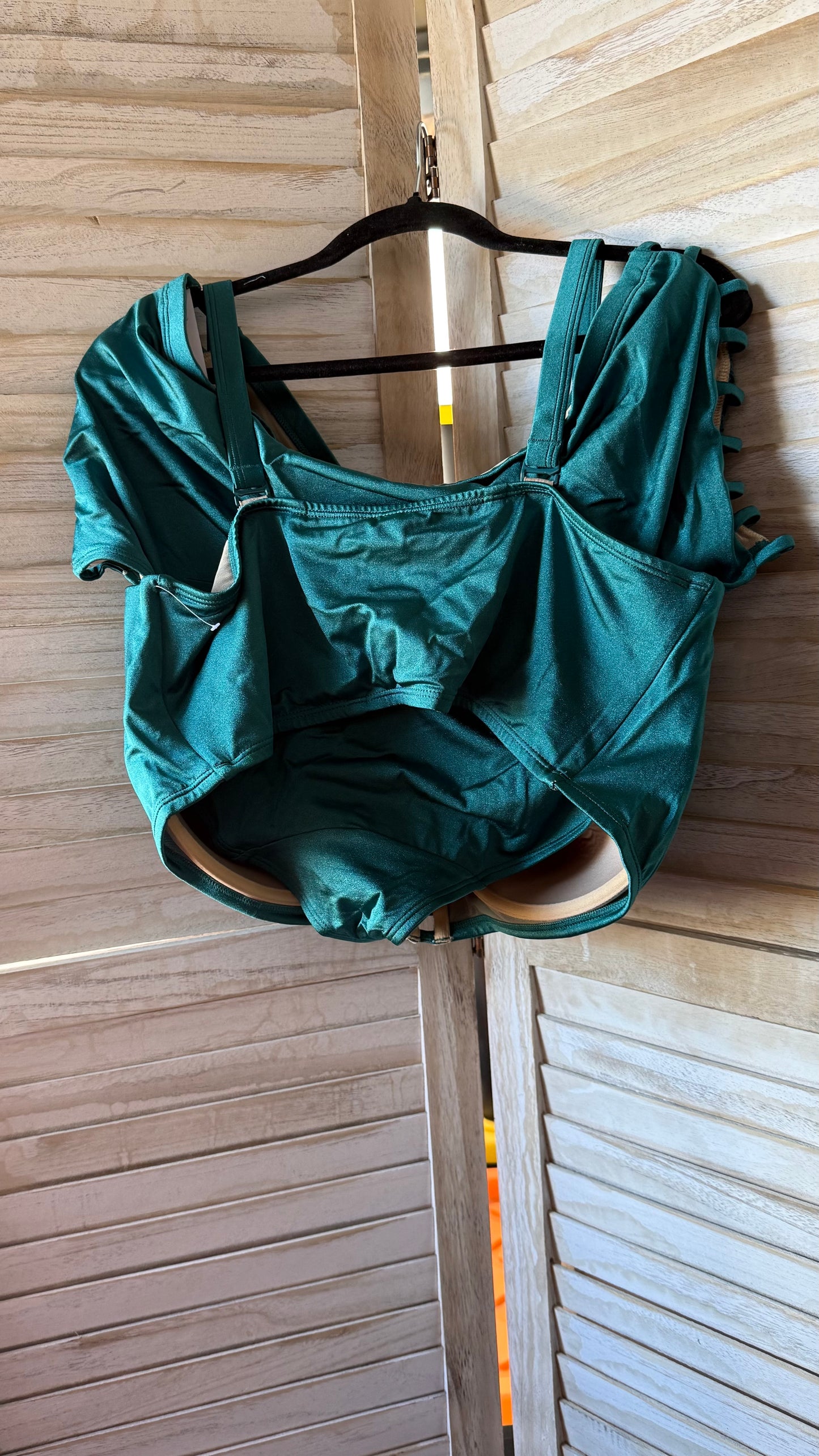 Lane Bryant Teal Bikini