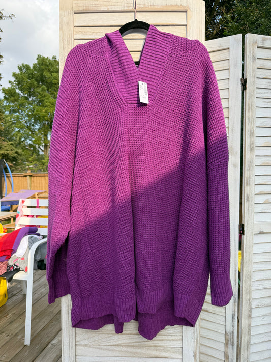 PENN Active Hoodie Sweater