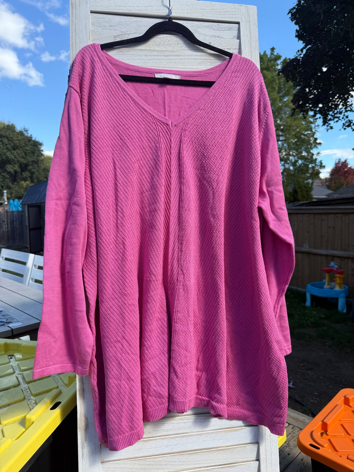 Woman Within Pink Tunic Sweater