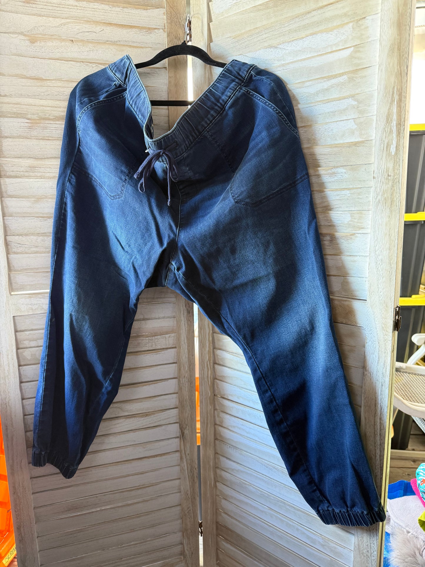 Torrid Denim Joggers