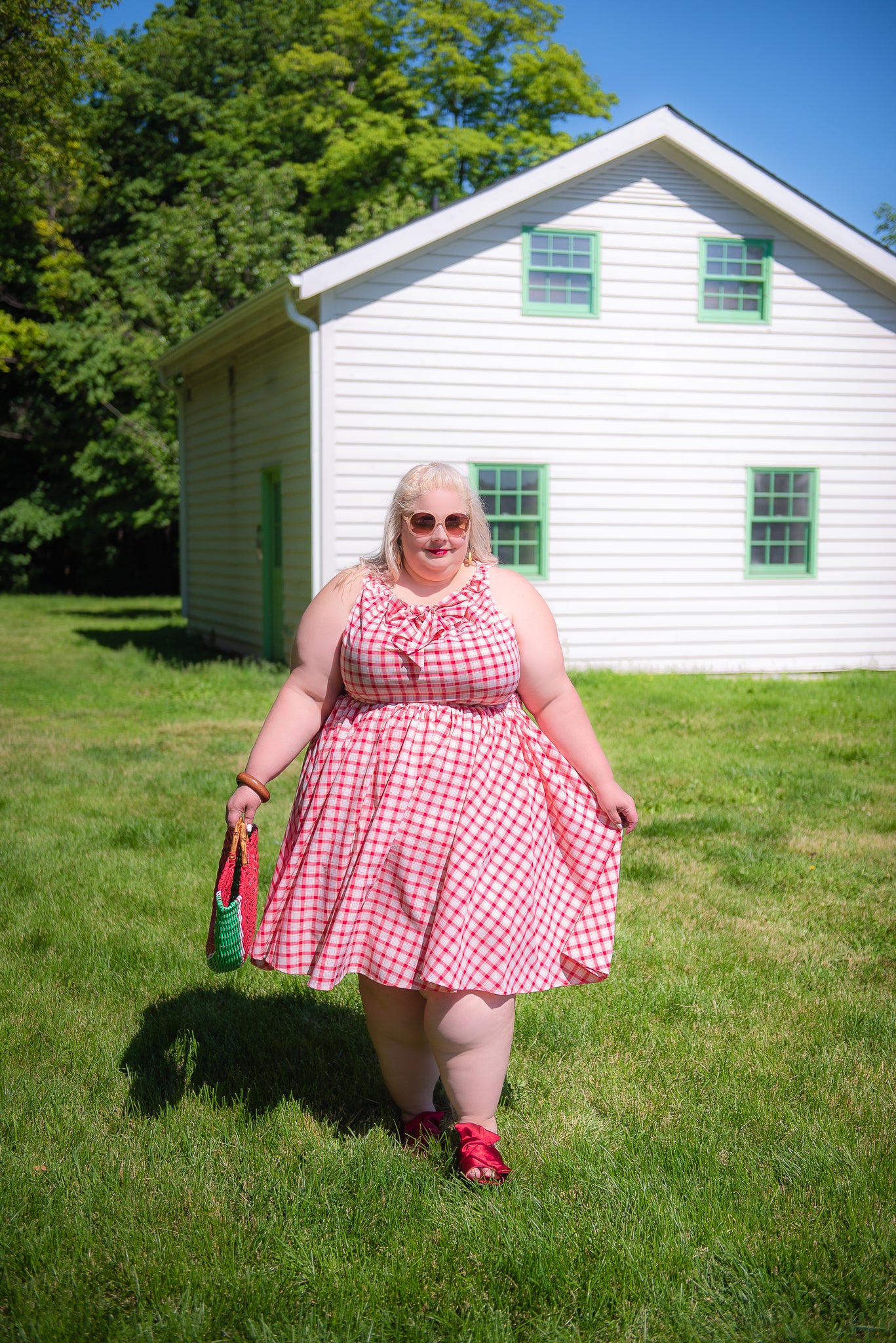 Unique Vintage Picnic Dress